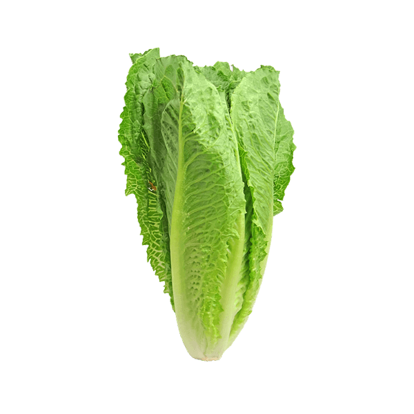 Organic Cheeries